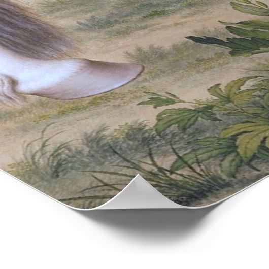 Poster Art vintage chinois ancien (Coin)