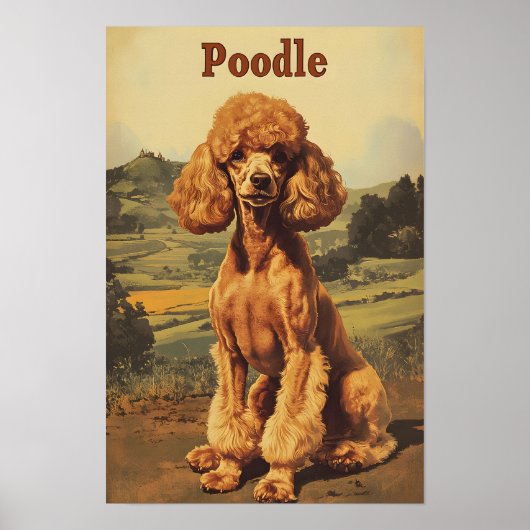 Poster Art vintage de chien caniche (Devant)