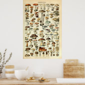 Poster Art vintage des champignons de 1909 par Adolphe Mi (Cuisine)