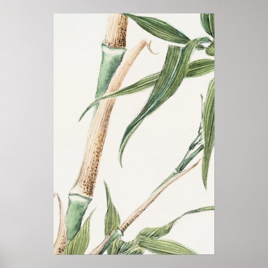 Poster Art Vintage feuille de bambou (Devant)