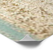 Poster Art vintage français Starfish (Coin)