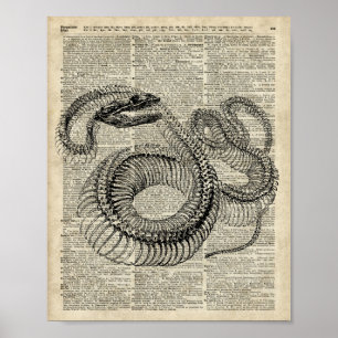 Poster Art vintage squelettique de page de dictionnaire
