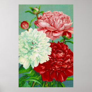 Poster Art vintage vintage floraux pivoines Imprimer