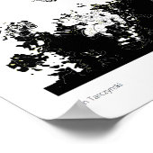 Poster Artefact corbeau (Coin)