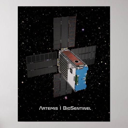 Poster Artemis BioSentinel CubeSat (Devant)