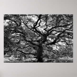 Poster Artère principale