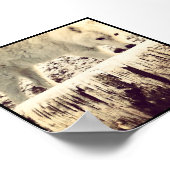 Poster Arthur le loup (Coin)