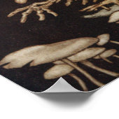 Poster Arthur Rackham | Peter Pan à Kensington Gardens (Coin)