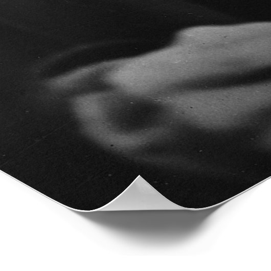 Poster Arthur Schopenhauer (Coin)