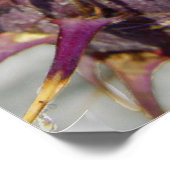 Poster Artichaut sauvage (Coin)