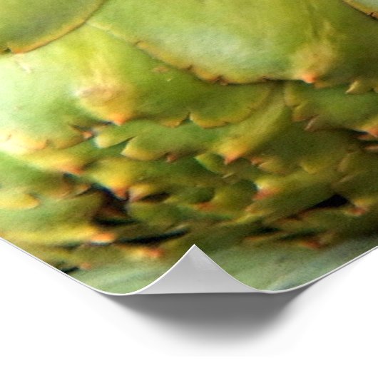 Poster Artichauts (Coin)