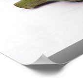 Poster Artichauts (Coin)