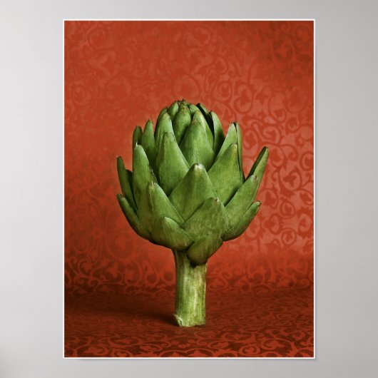 Poster Artique (Devant)