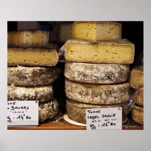 Poster artisan regional french cheeses