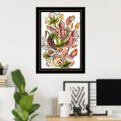 Poster  Artist Ernst Haeckel Nepenthaceae (Thuiskantoor)
