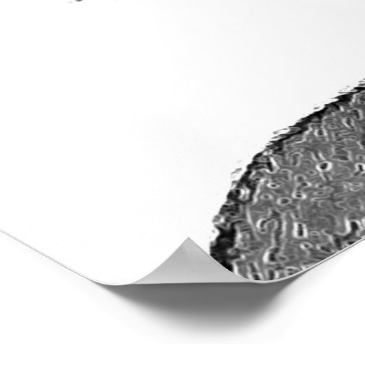 Poster Artiste afro (Coin)