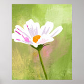 Poster Artiste Fleur Cosmos Blanc (Devant)