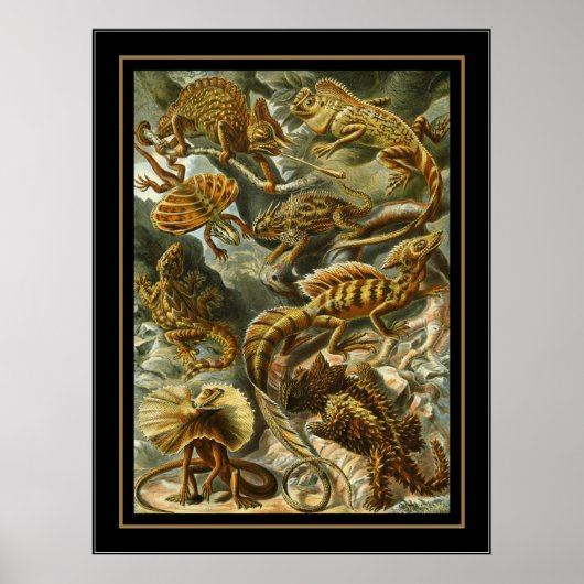 Poster Artiste Vintage Ernst Haeckel Lacertilia (Devant)