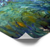 Poster Artistic Agapanthus Fleurs d'Art (Coin)