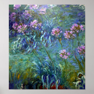 Poster Artistic Agapanthus Fleurs d'Art