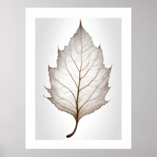 Poster Artprint de veine des créatures de feuilles élégan