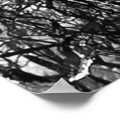 Poster Artsy arbre moderne noir et blanc (Coin)