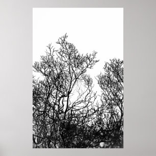 Poster Artsy arbre moderne noir et blanc