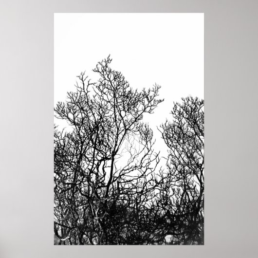Poster Artsy arbre moderne noir et blanc (Devant)