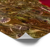 Poster Arty pops (Coin)