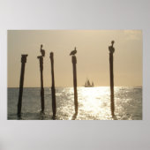 Poster Aruba (Devant)