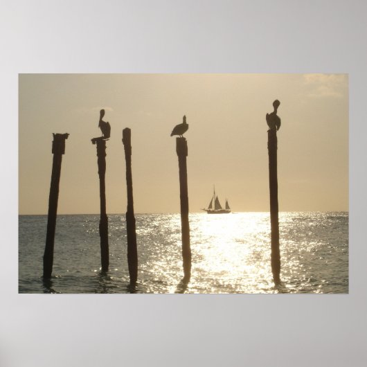 Poster Aruba (Devant)