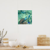 Poster Aruba Photo sous-marine de Fish (Cuisine)