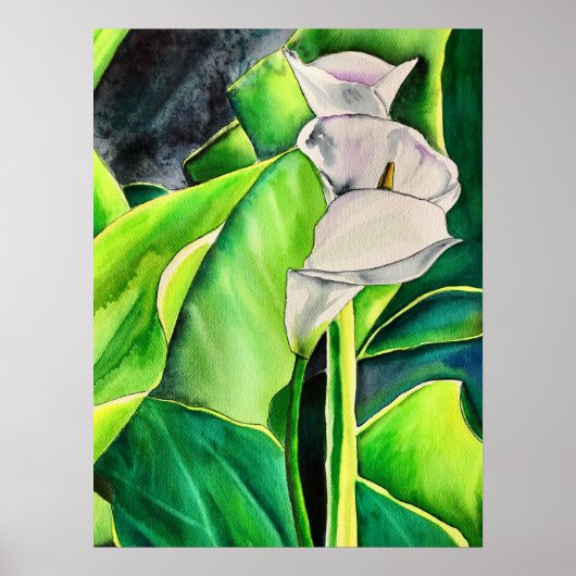 Poster Arum blanc Lily aquarelle tropicale florale (Devant)