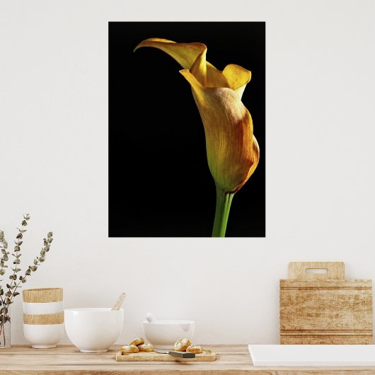 Poster Arum Lily (Cuisine)