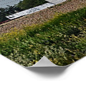 Poster Ascenseur Mankota Grain (Coin)