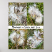 Poster Asclépiade | Naturel (Devant)
