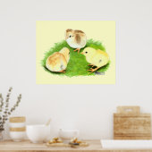 Poster Aseel Wheaten Chicks (Cuisine)