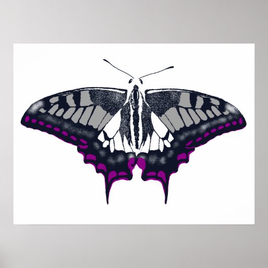 Poster Asexual Flag Swallowtail Butterfly (Devant)