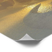 Poster Asgard (Coin)