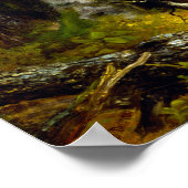 Poster Asher B. Durand Woodland Glen (Coin)