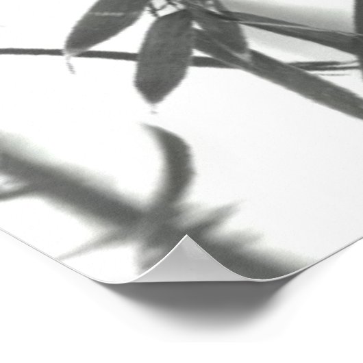 Poster Asian wash painting style (Coin)