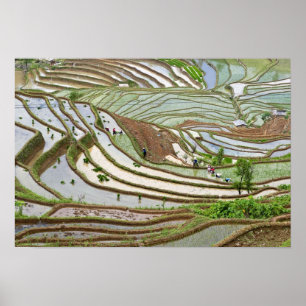 Poster Asie, Chine, Yunnan, Jinping. Peuple Yi autochtone