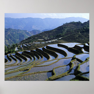 Poster Asie, Chine, Yunnan, Yuanyang. Accidenté