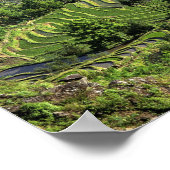 Poster Asie, Chine, Yunnan, Yuanyang. Motif de vert 2 (Coin)