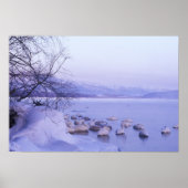 Poster Asie, Japon, Hokkaido, Akan NP, Whopper Swans (Devant)