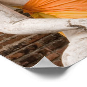 Poster Asie, Thaïlande, Siam, Bouddha à Ayutthaya (Coin)