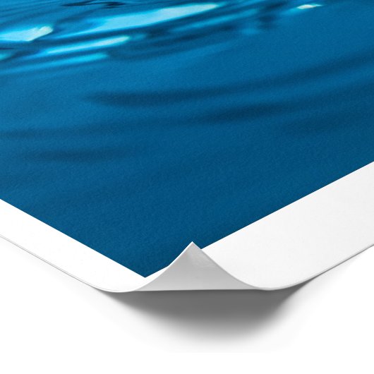 Poster Asile d'eau (Coin)