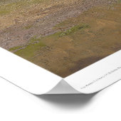 Poster Asistencia de San Antonio de Pala (1322) (Coin)