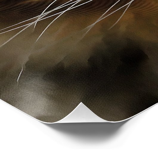 Poster Aslan Le Long Haired Tabby Cat (Coin)