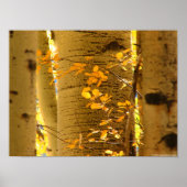 Poster Aspect haut près (Devant)